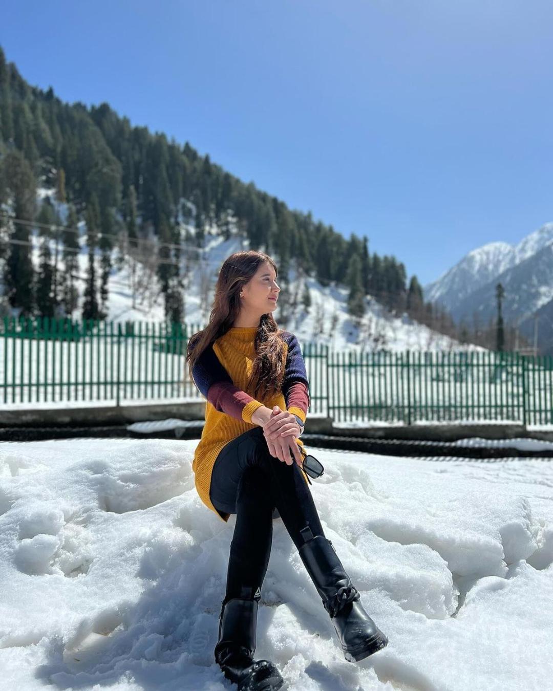 Srinagar Group Of Hotels Exterior photo